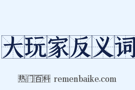 大玩家反义词是什么意思的图片